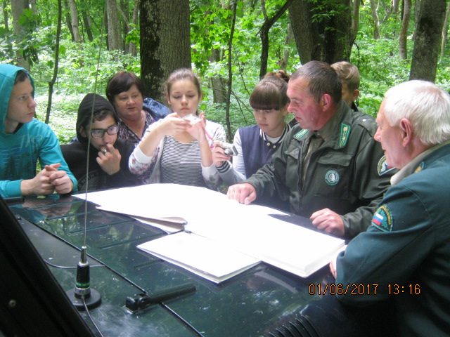Воронежские школьники постигли азы лесоустройства - фото 1