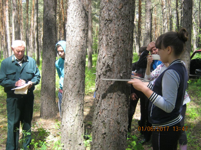 Воронежские школьники постигли азы лесоустройства - фото 2