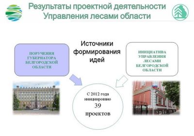 Проектная деятельность управления  лесами Белгородской области за 2017 год - фото 1