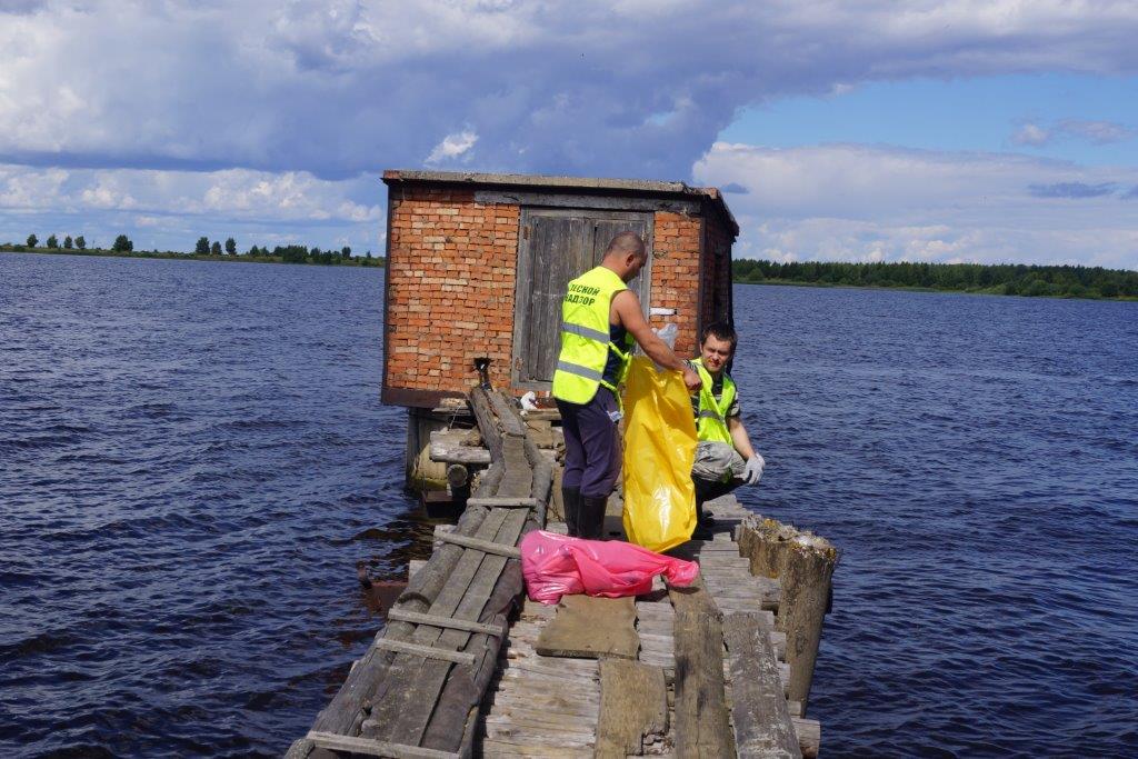 Департамент лесного хозяйства Ярославской области  принял участие в уборке побережья Рыбинского водохранилища - фото 5