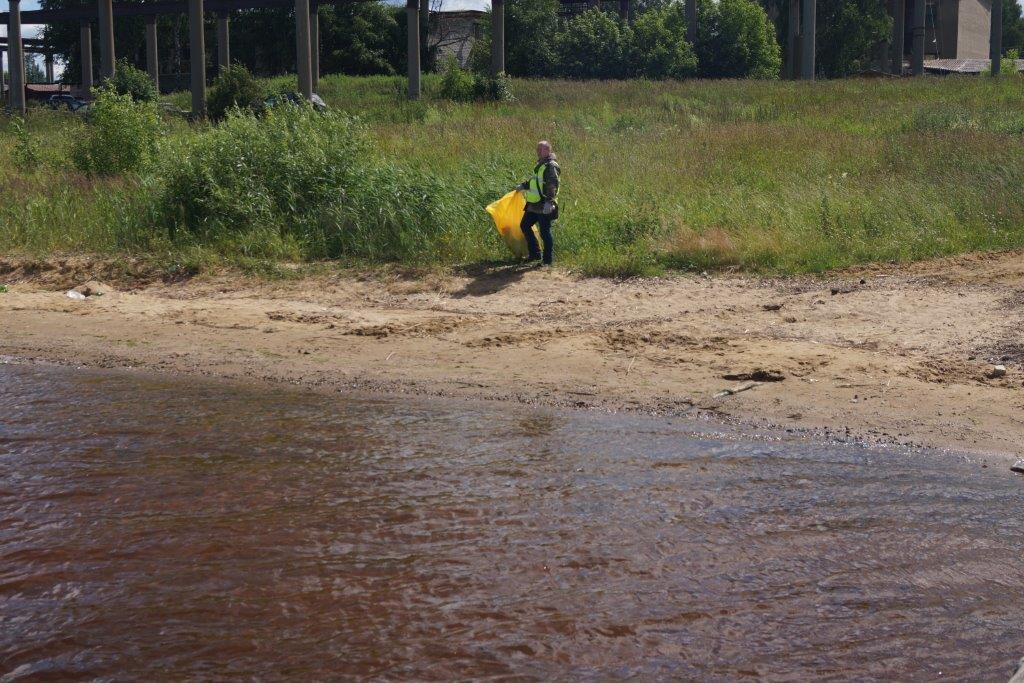 Департамент лесного хозяйства Ярославской области  принял участие в уборке побережья Рыбинского водохранилища - фото 6