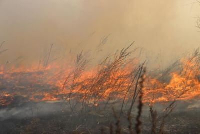 В Тульской области уже начата подготовка к пожароопасному сезону в лесах в предстоящем году - фото 1