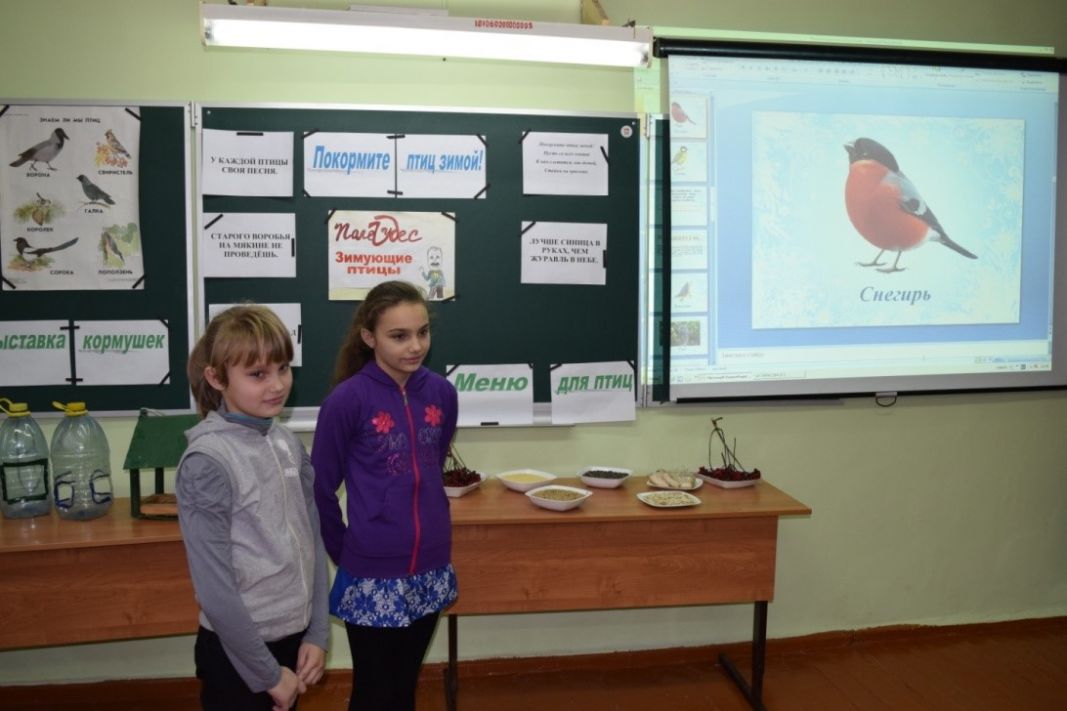 Юные лесоводы Курской области устроили столовые для зимующих птиц - фото 3