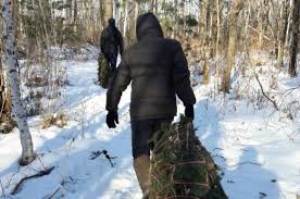 Лесные инспекторы Белгородской области поймали новогодних браконьеров - фото 1