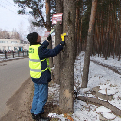 В лесах Ярославской области осуществляется демонтаж рекламных конструкций - фото 1
