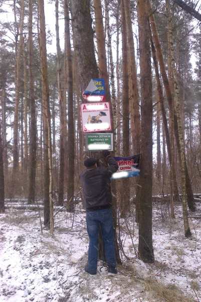 В лесах Ярославской области осуществляется демонтаж рекламных конструкций - фото 2