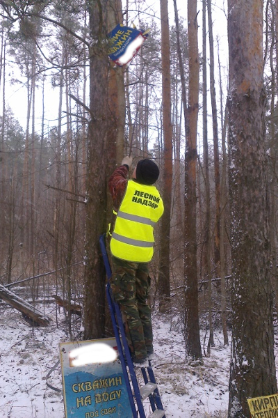 В лесах Ярославской области осуществляется демонтаж рекламных конструкций - фото 3