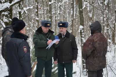 Итоги работы лесных инспекторов по незаконным рубкам новогодних деревьев на территории Липецкой области - фото 1