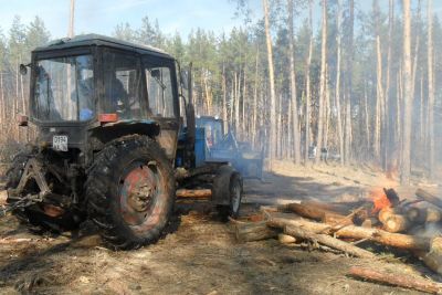 В пригородных лесничествах Воронежской области развернуты работы по сжиганию древесных остатков - фото 1