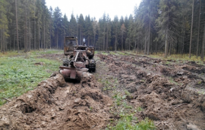 В Кадыйском лесничестве Костромской области завершается выполнение лесохозяйственных работ - фото 1