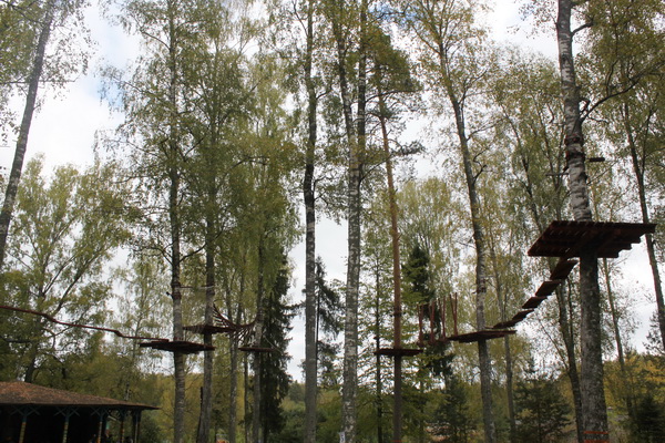 В Ивановской области прошел 18 слёт школьных лесничеств - фото 6