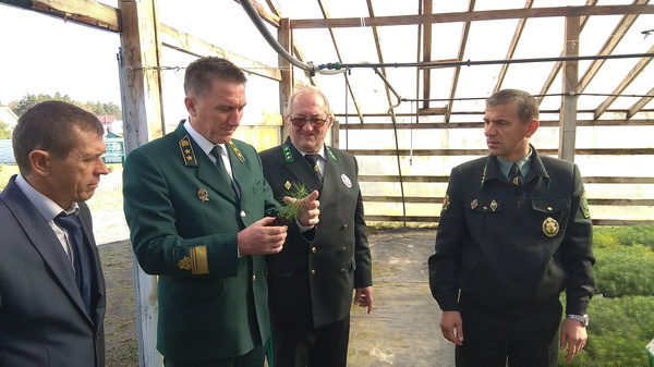 Брянск, Курск и Гомель: международное сотрудничество  в войне с короедом - фото 4