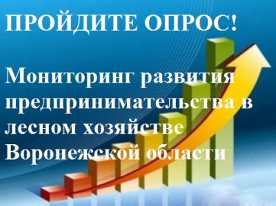 В Воронежской области проводят мониторинг развития предпринимательства в лесном хозяйстве - фото 1
