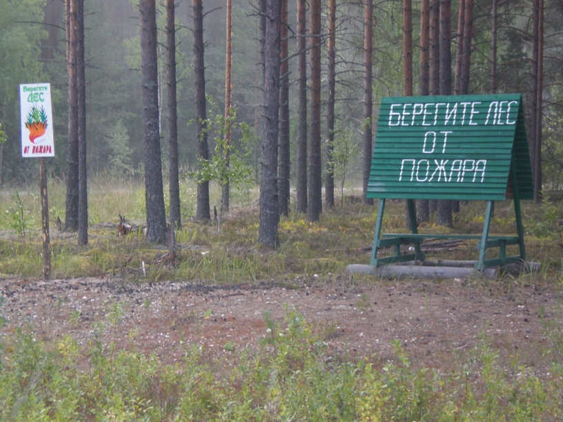 О проведении мероприятий по охране лесов  на территории Костромской области - фото 2