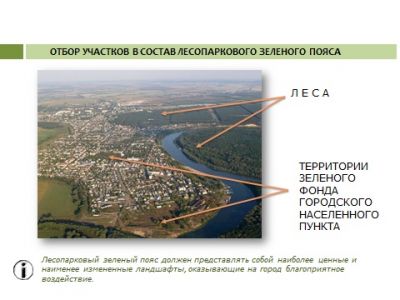 В Воронежской области идет подготовка  к созданию лесопаркового зеленого пояса - фото 1