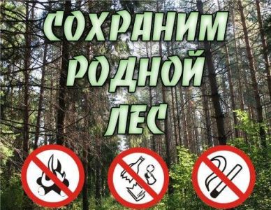 Жителям Тверской области напоминают о необходимости  соблюдать правила пожарной безопасности в лесах.    - фото 1