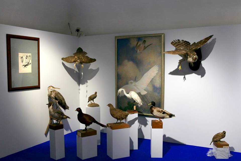 Выставка «Соколиная охота. Царская потеха с ловчими птицами» открылась в Коломенском. - фото 1