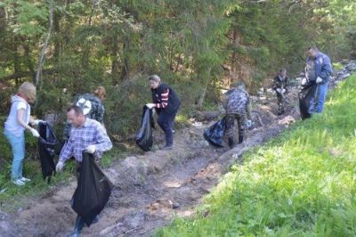 Уборка бытового мусора на землях лесного фонда Ярославской области. - фото 1