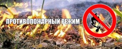 В Рославльском и Починковском районах Смоленской области введен особый противопожарный режим! - фото 1
