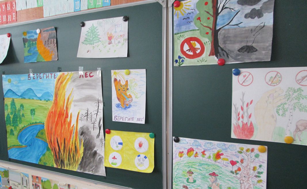 В школах Тверского региона отметили Международный день леса - фото 4