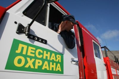 В Белгородской области утвержден  сводный план тушения лесных пожаров 2018 - фото 1