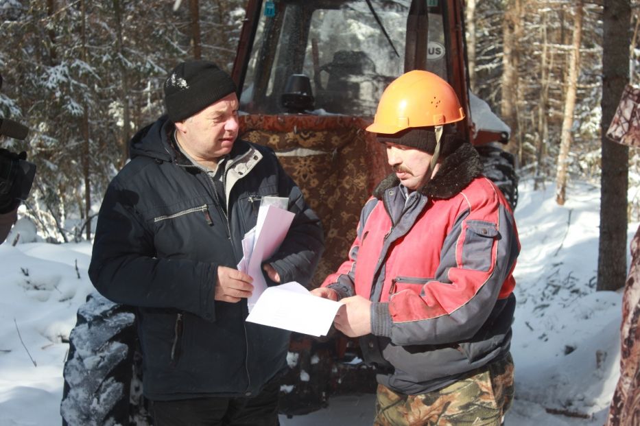 Помощь волонтеров в мероприятиях по охране ярославских лесов - фото 2