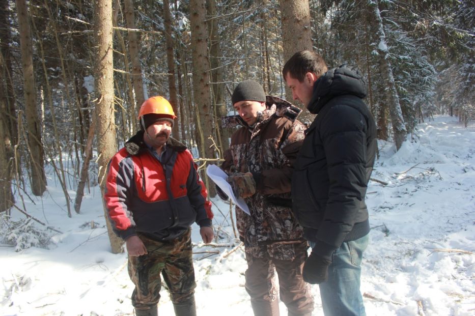 Помощь волонтеров в мероприятиях по охране ярославских лесов - фото 3