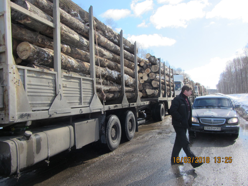 Борьба с незаконным оборотом древесины на Смоленщине - фото 1