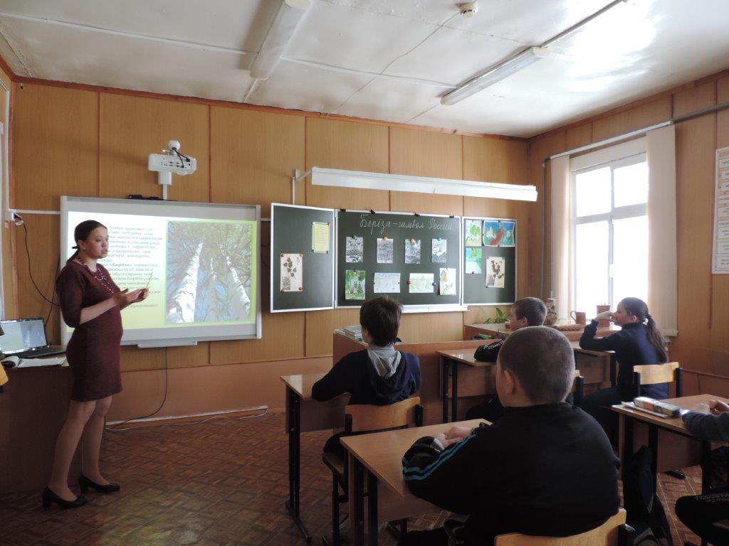 В школьном лесничестве «Исток» Ярославской области  прошел урок «Береза - символ России» - фото 2