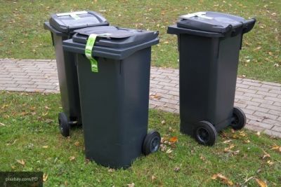 Российские ученые придумали безопасную технологию по переработке мусора - фото 1