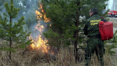 Утвержден Сводный план тушения лесных пожаров на территории Брянской области - фото 1
