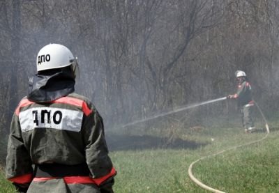 В Нижнем Новгороде стартует набор добровольных лесных пожарных - фото 1