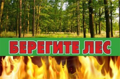 В «майские» праздники будет усилена охрана курских лесов от пожаров - фото 1