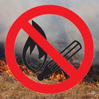 Комитет лесного хозяйства Курской области призывает курян не поджигать сухую траву! - фото 1