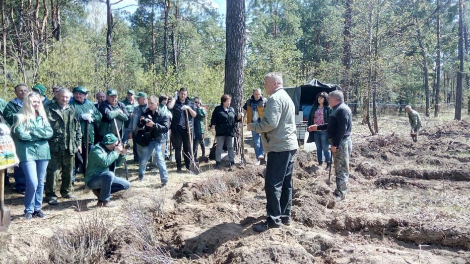 В Курской области проходит акция «Всероссийский день посадки леса» - фото 1