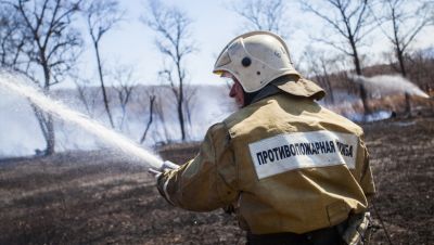 В Ивановской области прошли тактико-специальные учения по тушению лесных пожаров - фото 1