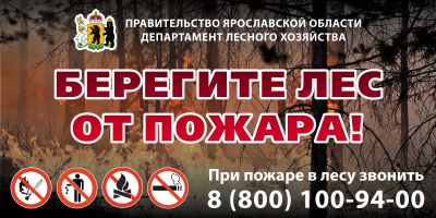 В Ярославской области объявлен пожароопасный сезон - фото 1