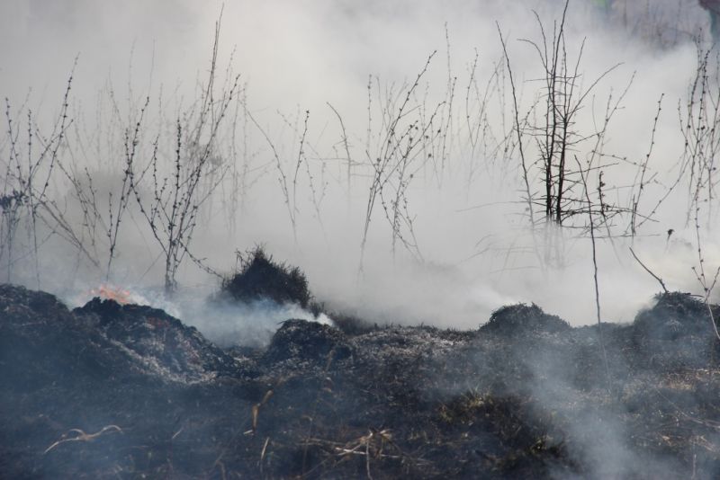 В Тульской области проведены региональные учения по тушению лесных пожаров - фото 16