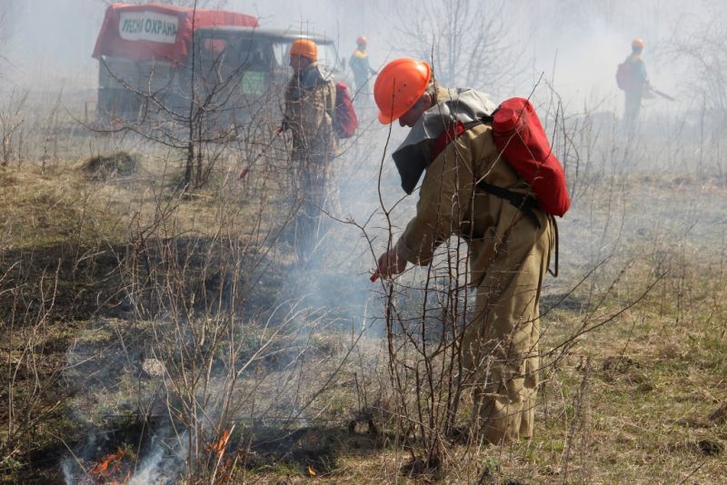 В Тульской области проведены региональные учения по тушению лесных пожаров - фото 17
