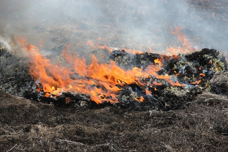 В Тульской области проведены региональные учения по тушению лесных пожаров - фото 18