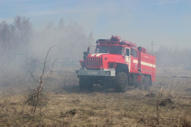 В Тульской области проведены региональные учения по тушению лесных пожаров - фото 19