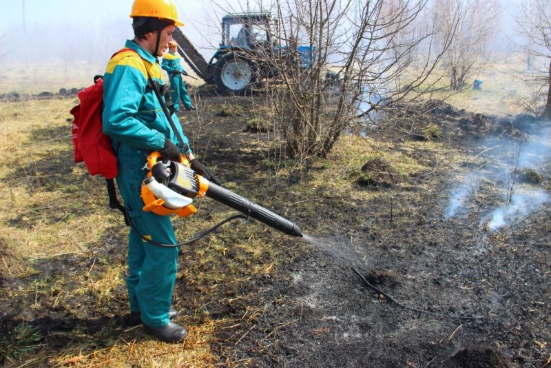В Тульской области проведены региональные учения по тушению лесных пожаров - фото 20