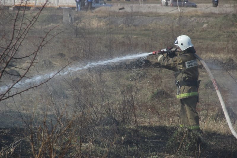 В Тульской области проведены региональные учения по тушению лесных пожаров - фото 22