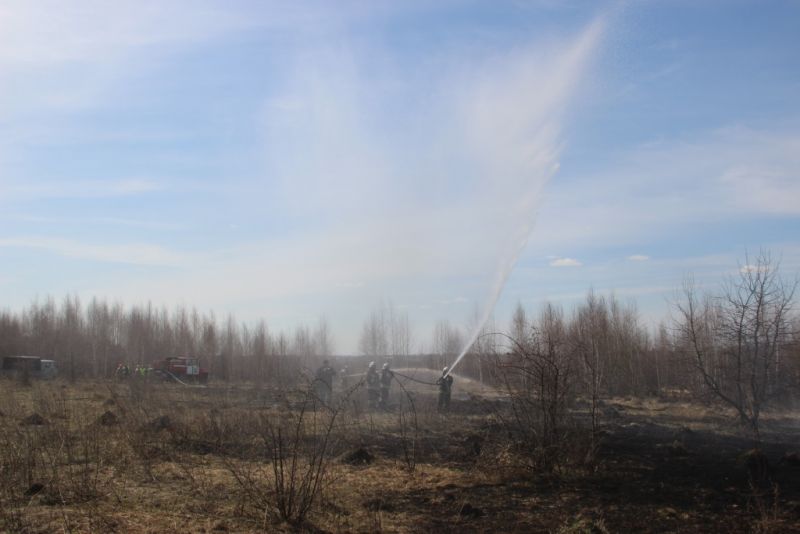 В Тульской области проведены региональные учения по тушению лесных пожаров - фото 23