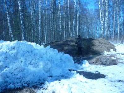 Орловские лесники готовятся к лесокультурному сезону - фото 1