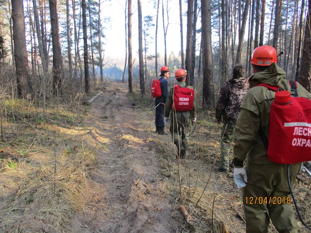 В лесах Смоленской области зарегистрирован первый в текущем пожароопасном сезоне лесной пожар - фото 3