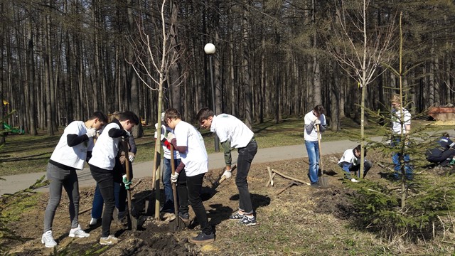Акция «Новомосковск, дыши!» продолжилась озеленением  детского парка  в Тульской области - фото 1