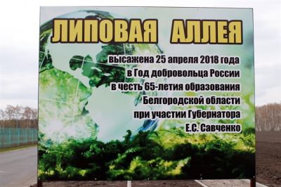 Участники заседания совета «Белгородчина – рукотворный парк» заложили липовую аллею - фото 1