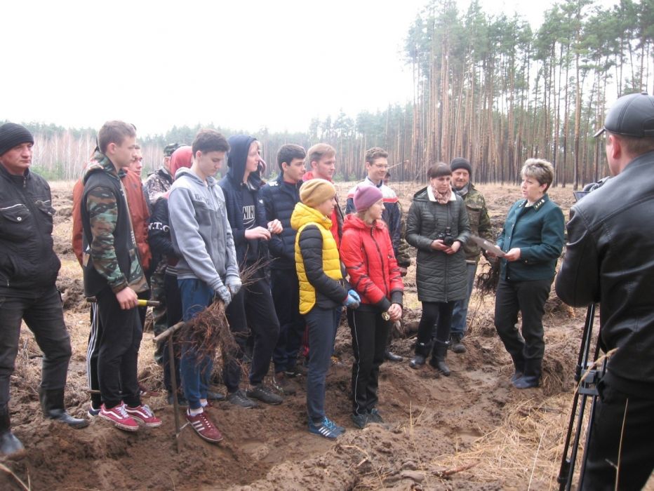 В лесничествах Воронежской области  проходит «Всероссийский день посадки леса» - фото 1