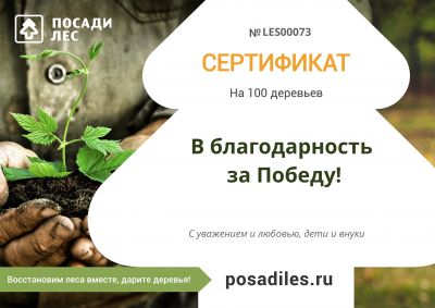 Россияне могут посадить лес в память о великой Победе и за мир на Земле - фото 1